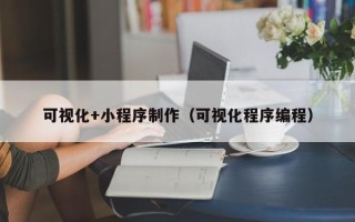 巴彦淖尔市可视化+小程序制作（可视化程序编程）